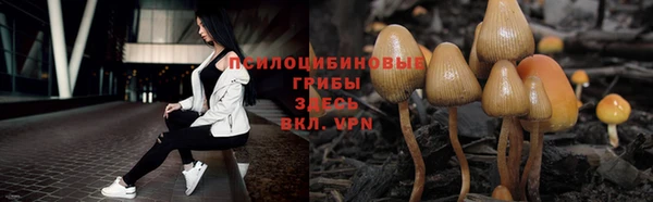ешки Красноперекопск