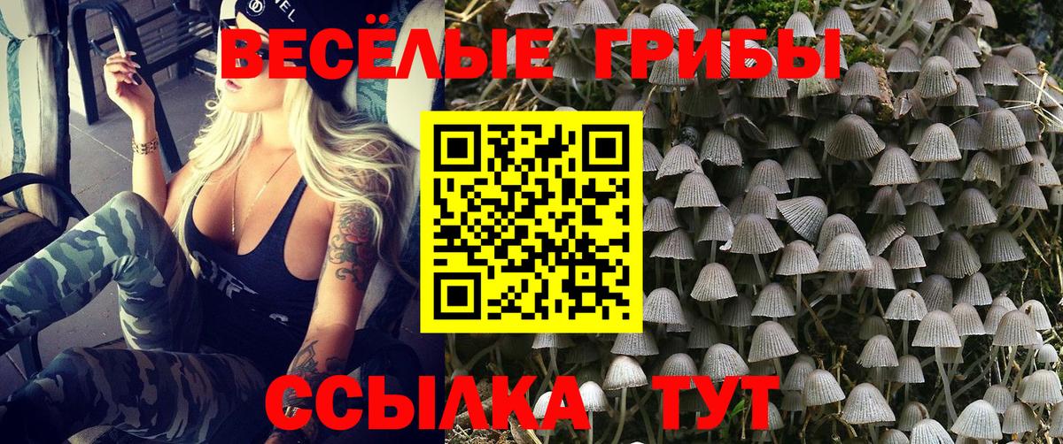 Скопин  Галлюциногенные грибы ЛСД  Галлюциногенные грибы MAGIC MUSHROOMS  Вход с VPN 